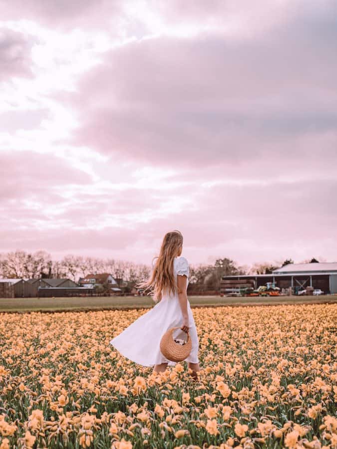 solo travel to Amsterdam Lisse flower fields