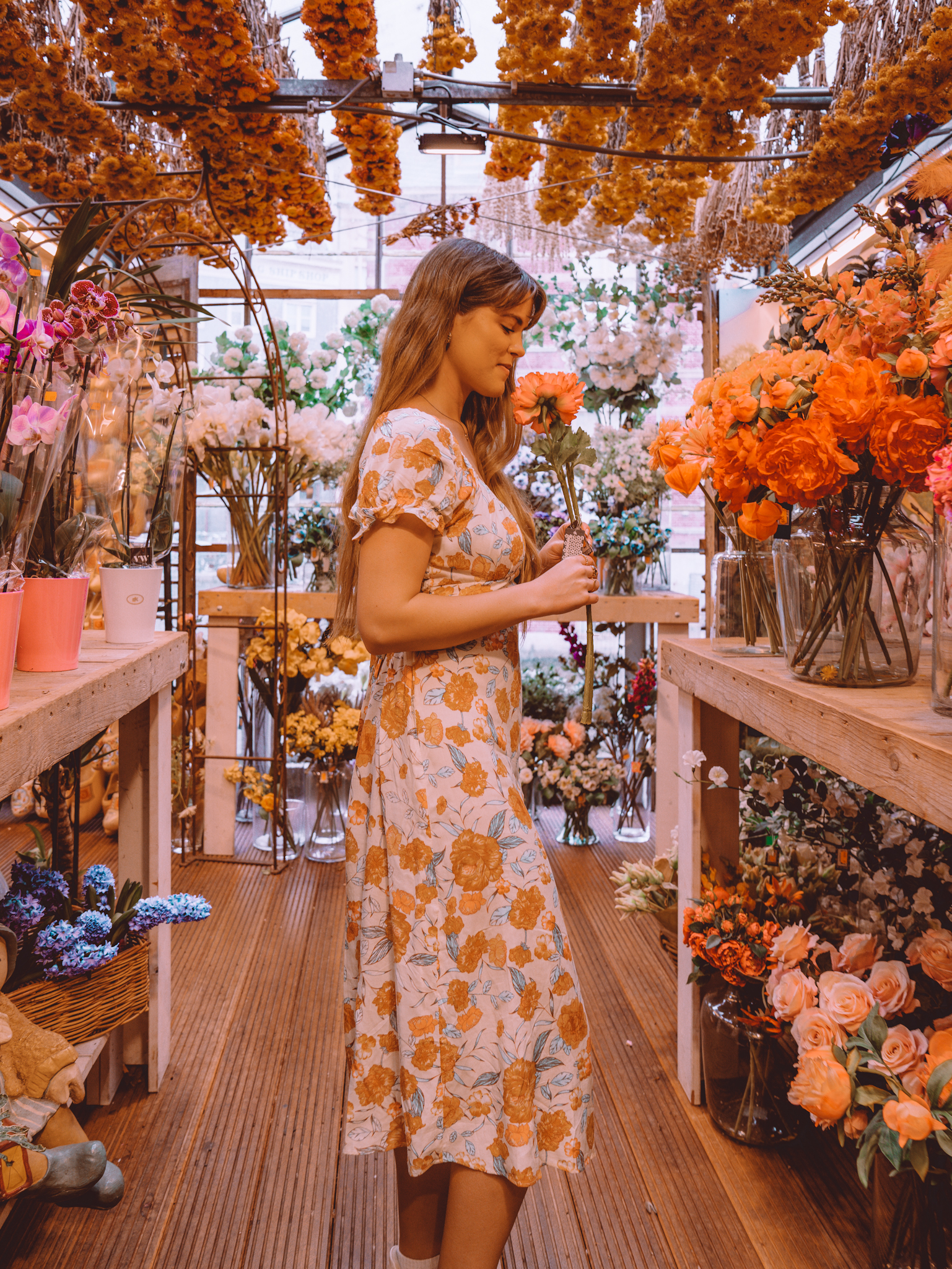 solo travel to amsterdam bloemenmarkt the fearless wanderess